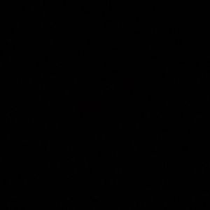 Meet your Posher, Noah